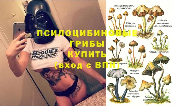 амфетамин Белокуриха